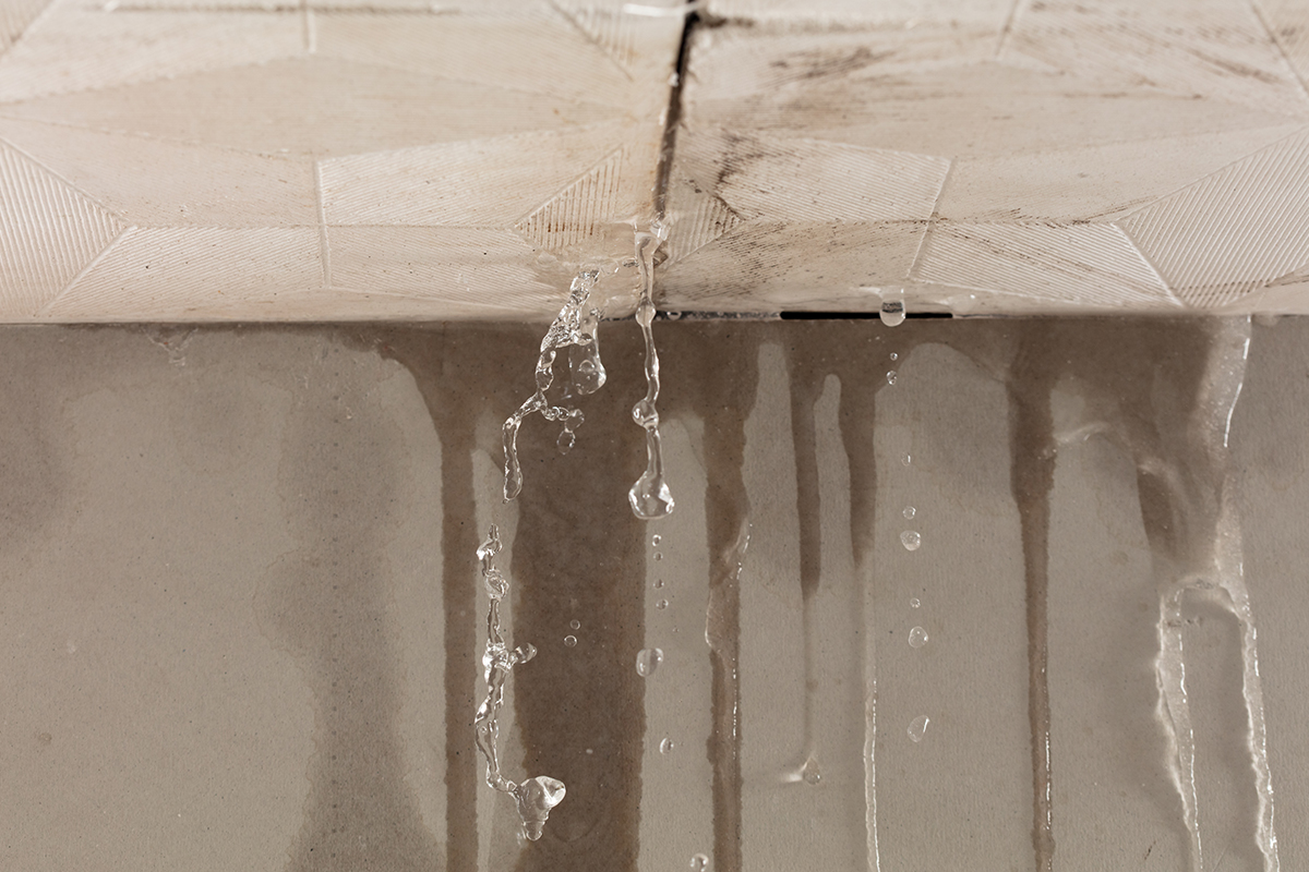 Roof Leaking After Rain or Storms