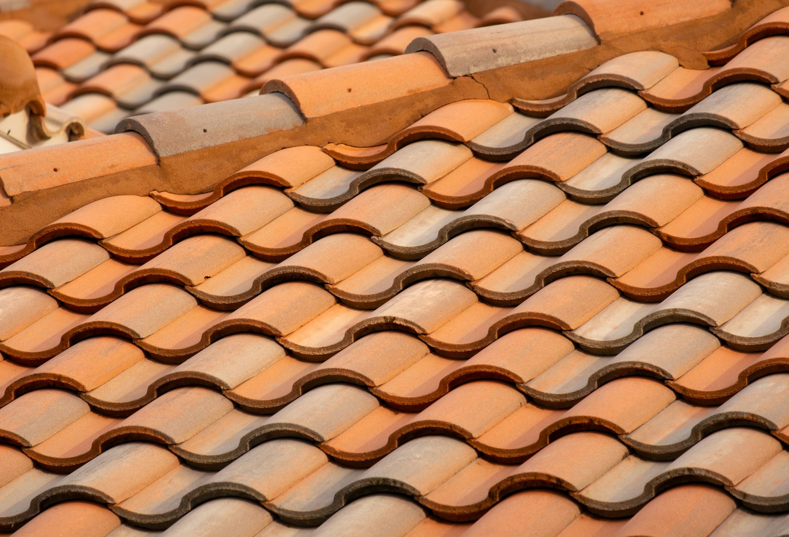 Roof repairs Medindie SA 5081 - terracotta tile roof with heritage ridge capping on a Medindie home, Adelaide, Australia